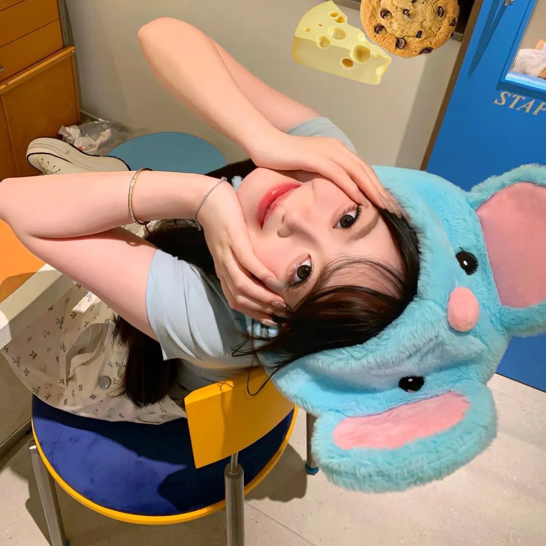 森林：随处可见